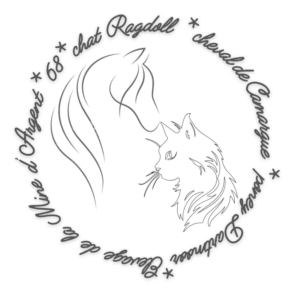 Logo élevage de la mine d'Argent et des Dolls D'argent