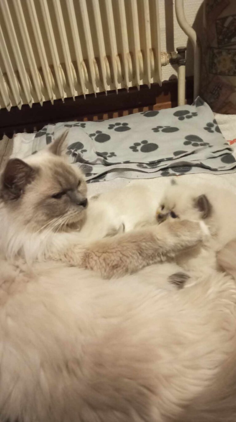 474177483_1142853093898568_4425446974057020265_n