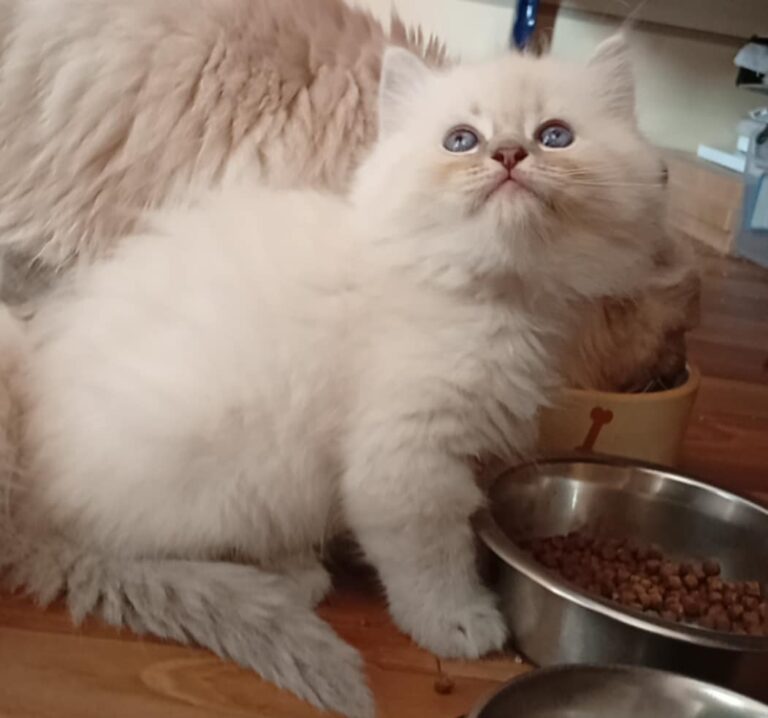 2cec7aba-92f7-400f-abe2-ad01ce9214d5