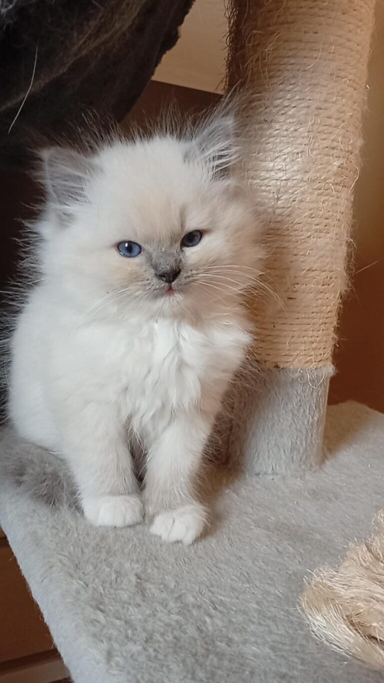 4d79f936-f5d4-43df-ba0f-2e0bdd8e297e