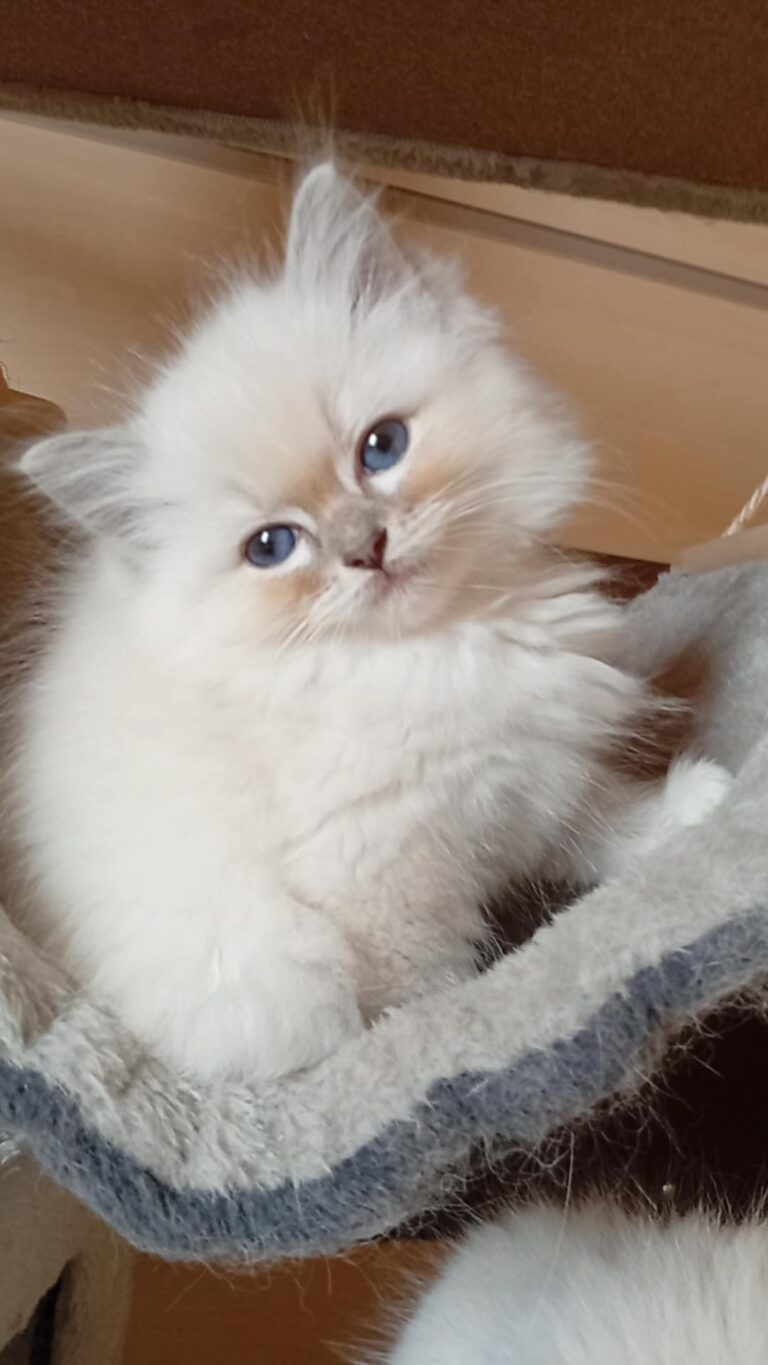 64661be8-5330-4551-a72a-9a7df7d26153