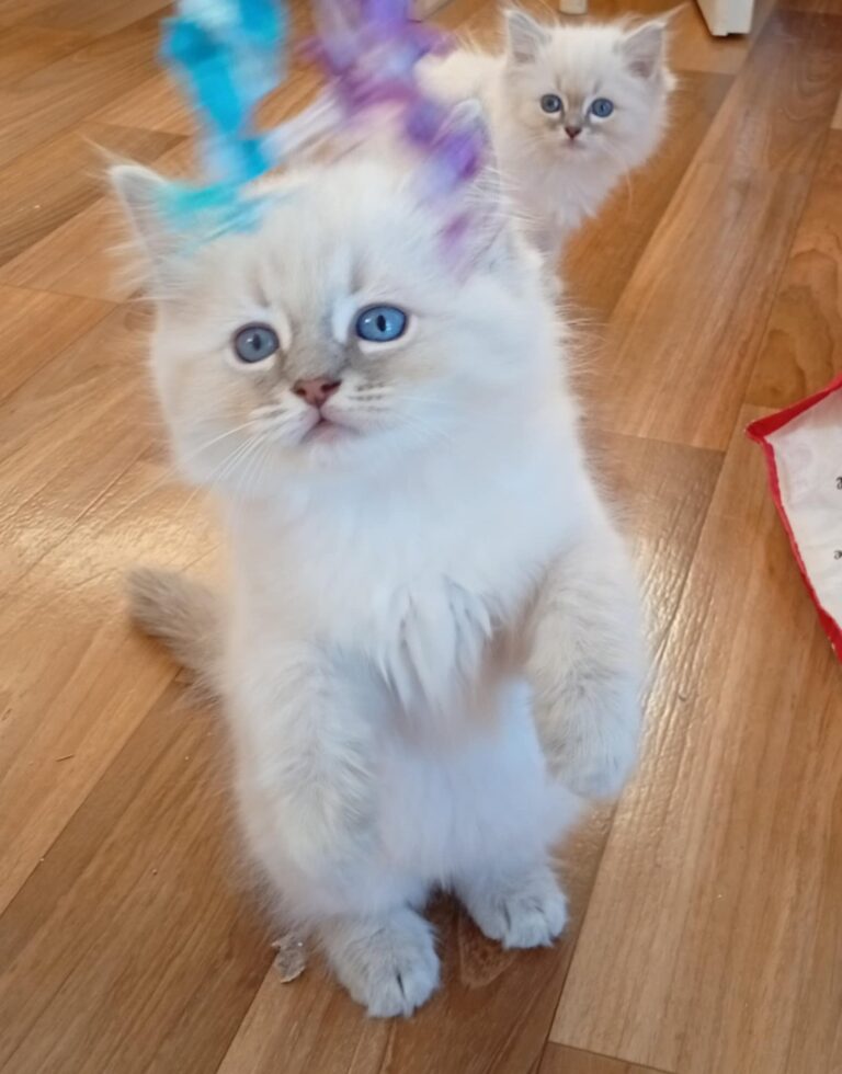 9715675e-9b0f-4e3f-bd14-7afc05474588