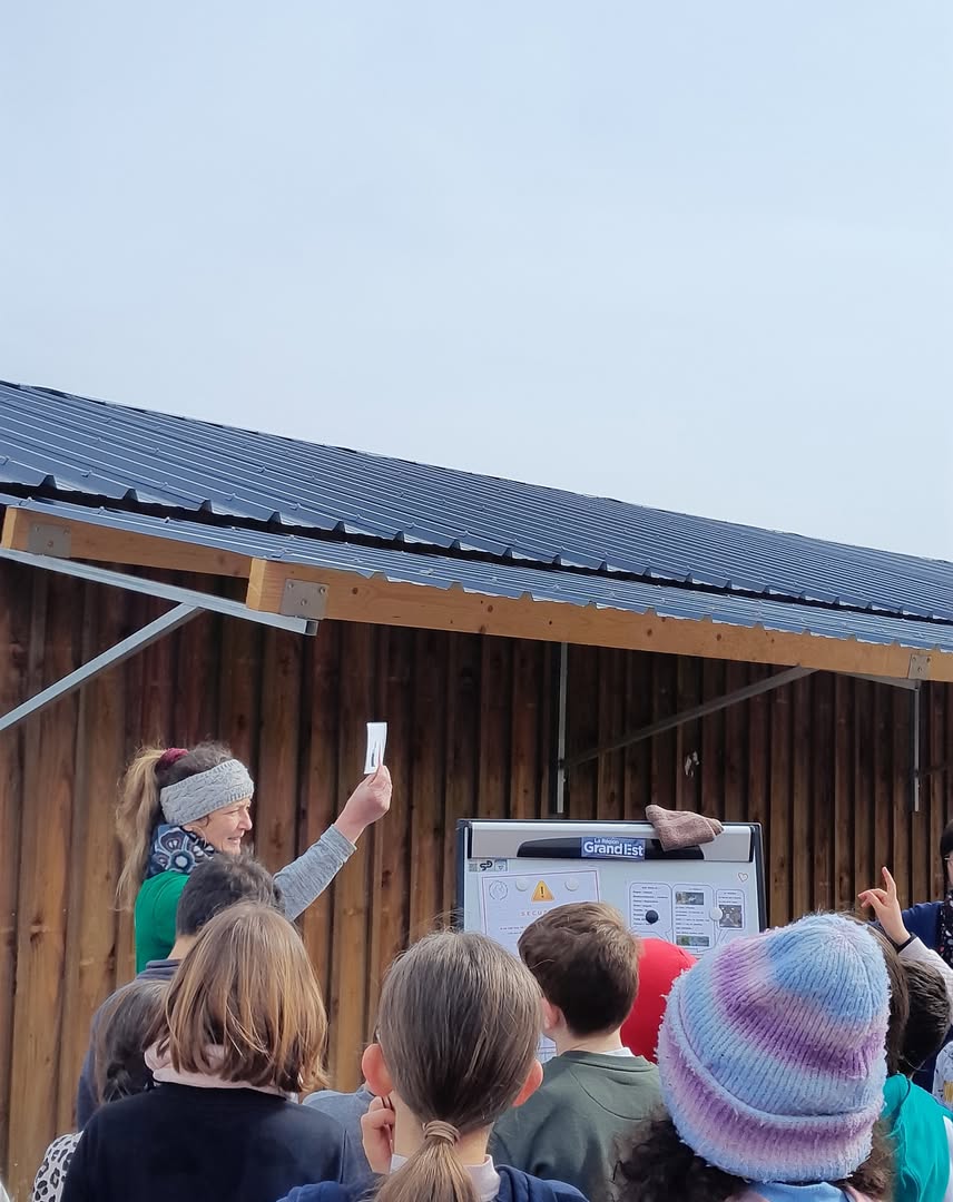Accueil des école dans une ferme à cernay proche du haut-rhin