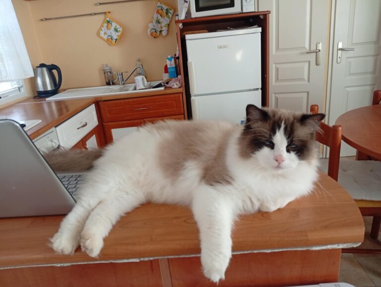 09f836a4-2a47-4ffe-af8f-da5c1d6915c8 - Copie