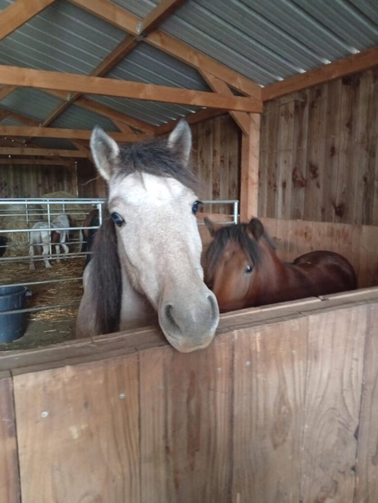 0de877ea-ca5c-4316-981a-5a5301b9fd10 (1)