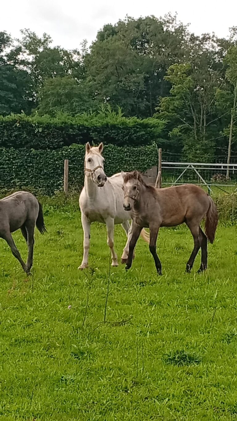 0f00bc4c-4806-4a6a-b418-7081c2afb929 (1)