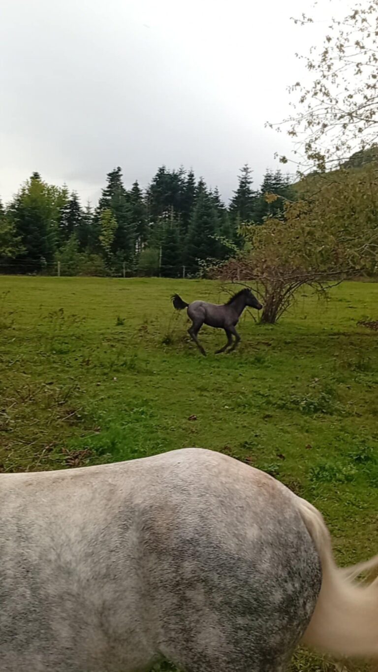 0f40a613-74f4-42a1-865f-5112fbb3e13d