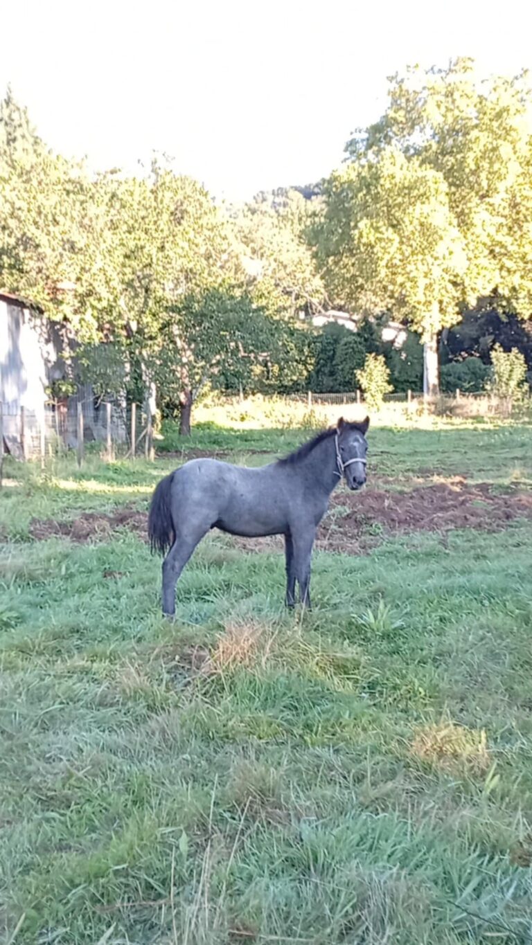 10898768-e5dd-4101-a36b-9939d9c2b938