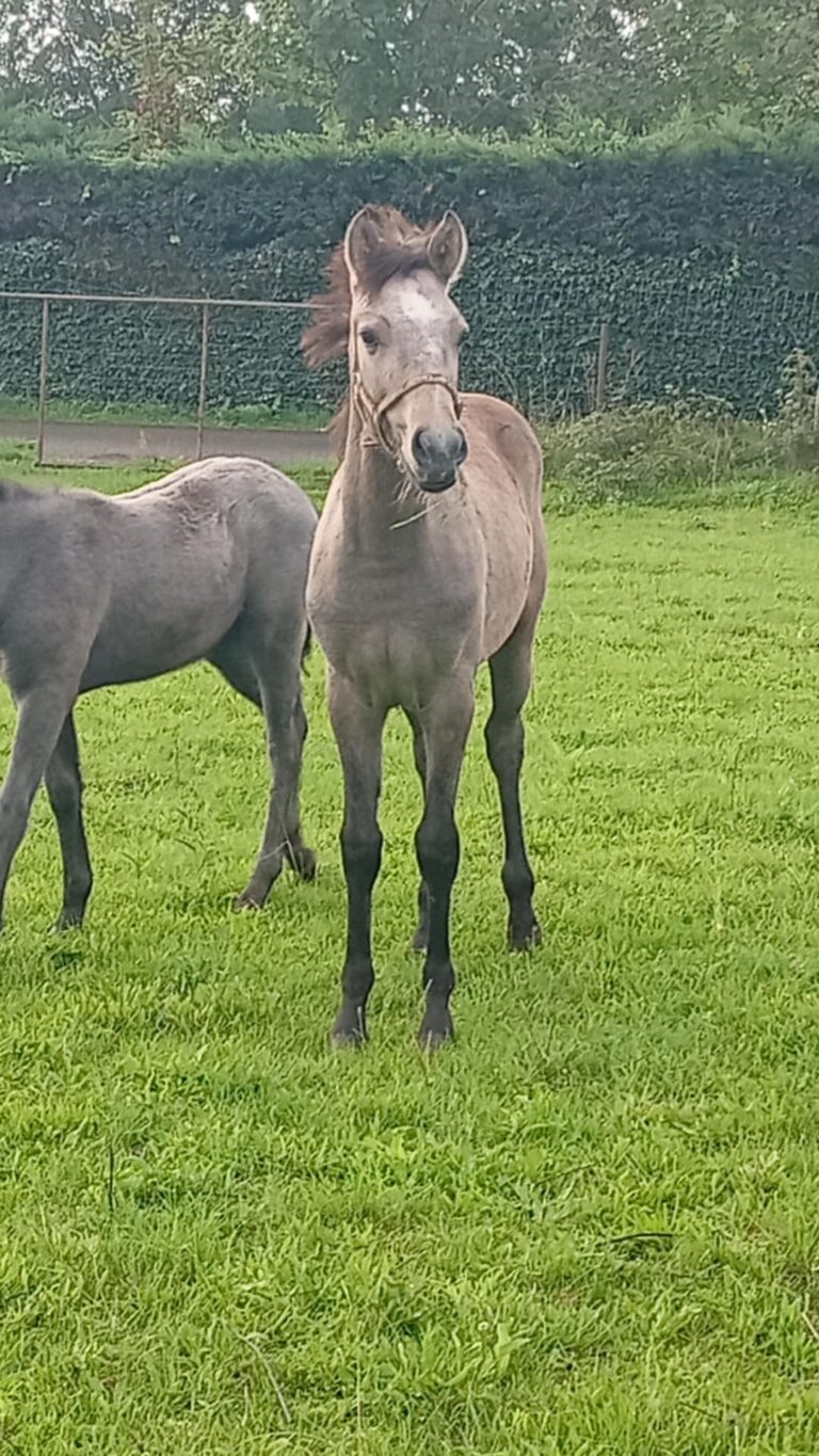 1aa0ee99-8103-4487-a163-215df5d877bf