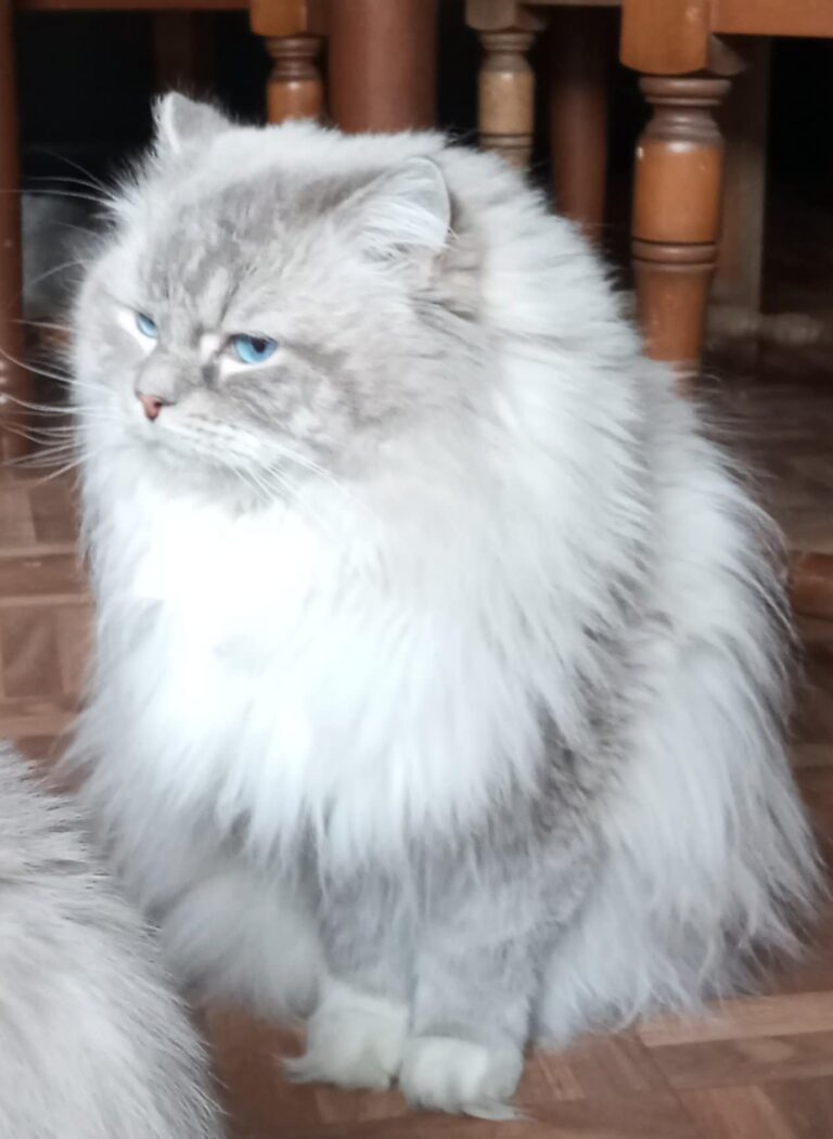 1af73f3d-abd3-45bd-a561-ed93435ed737