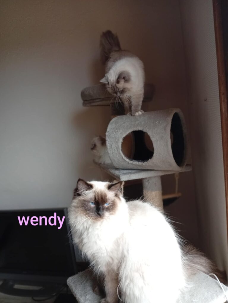 246978d5-e0d9-440b-be17-09f6c9b4b13f