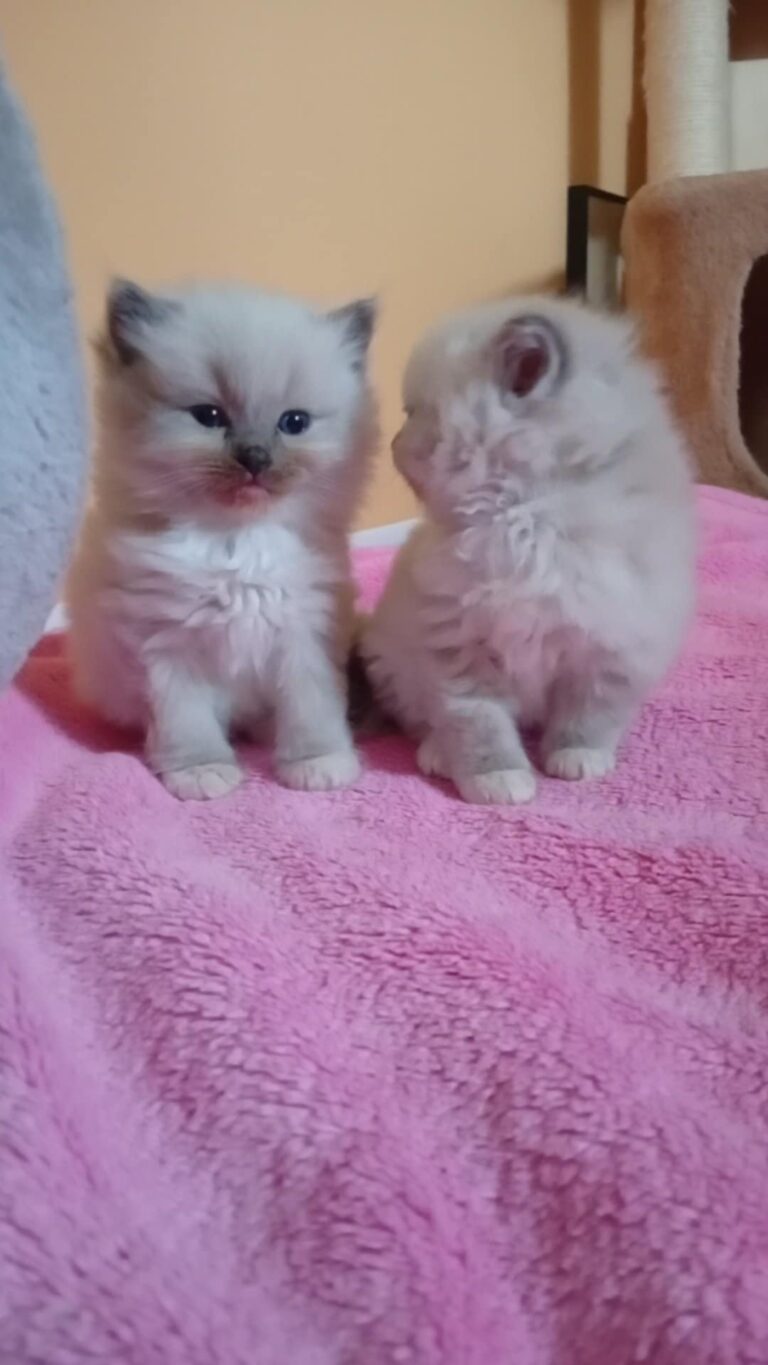 26cc4946-4e01-431a-bac9-f5c01661175b