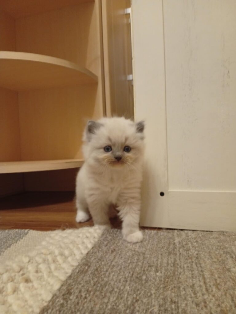 33204832-6bb4-42a8-aeeb-9d3ce0b18595