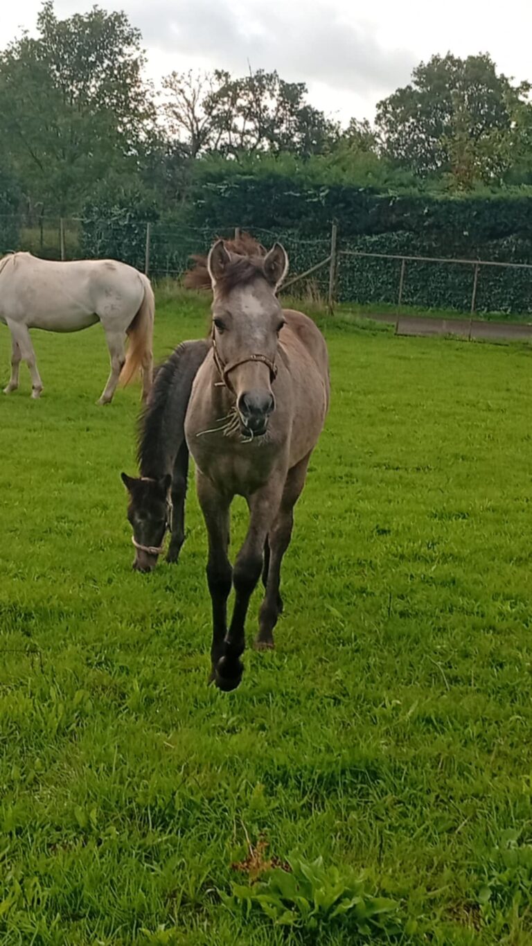 362fd0f8-e34f-4a5c-89ab-7d596b226a42