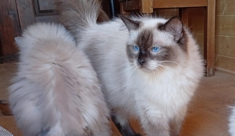 41091875-1a27-4591-88f9-301f92e9f11b