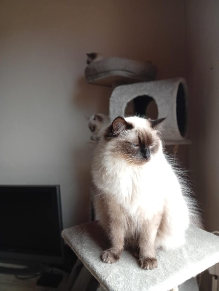 549f6341-711c-4e12-8ccc-41ed26eec343