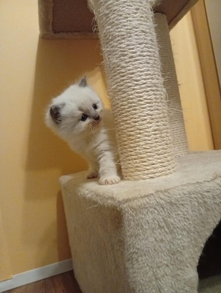 595f9670-d6d7-431c-9484-fa5f6b0d0afc