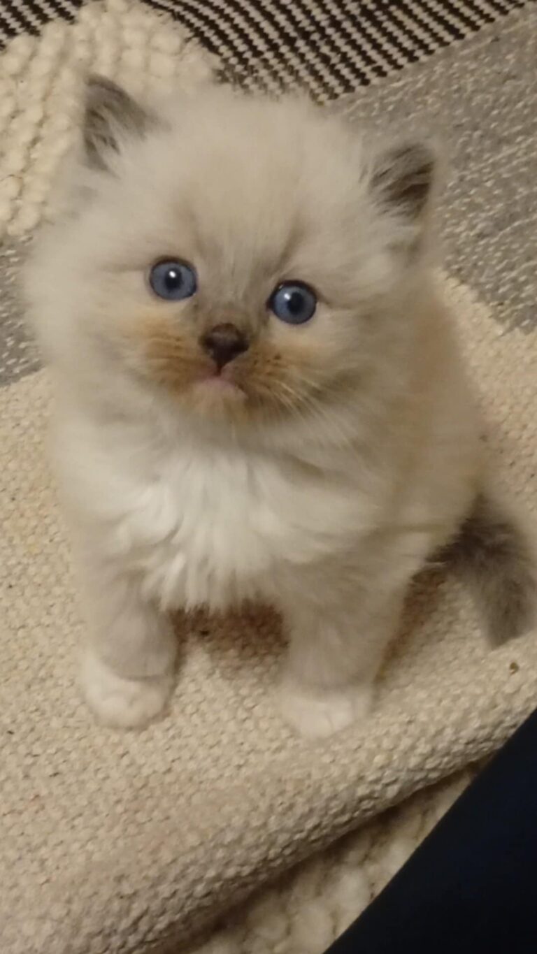 5b0a2e21-3ddc-4bac-b912-2965d86bdb59