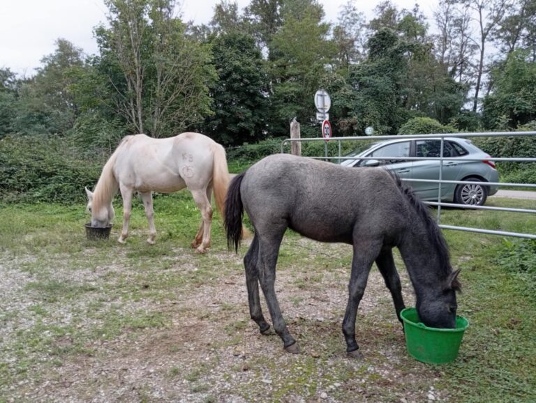 620da010-807f-4dcf-bd73-9c27b11ed945