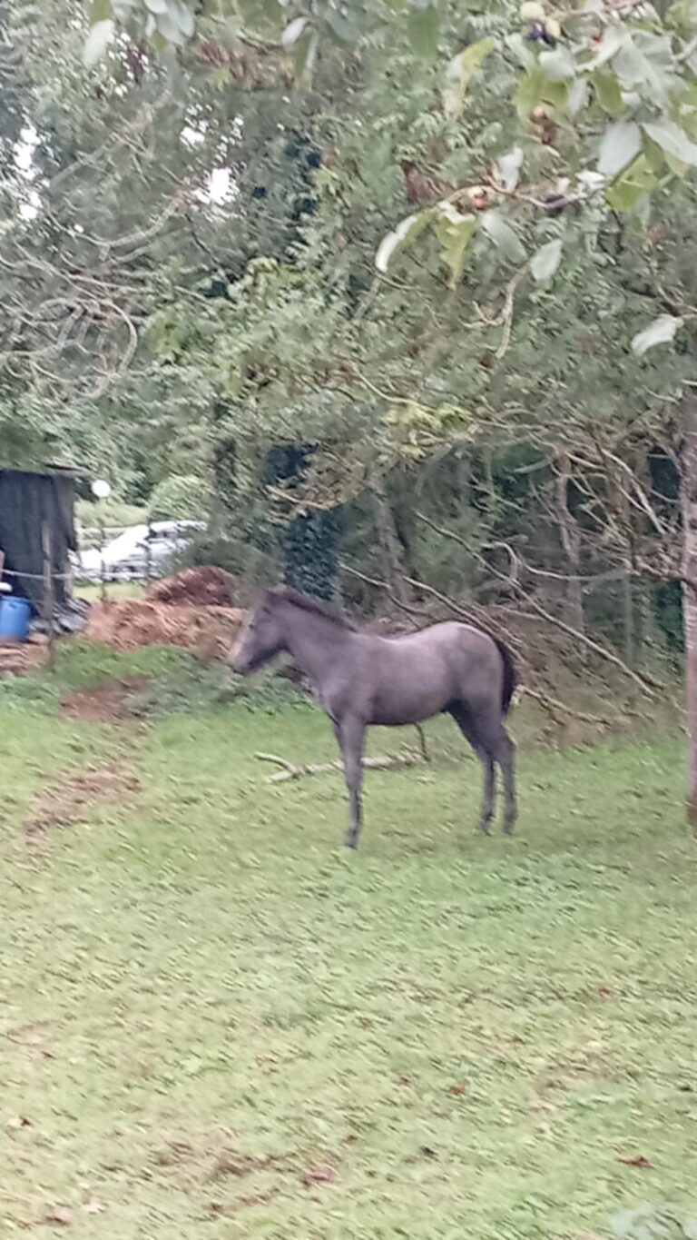 6bd2403c-349b-4ed6-86cb-937f77e5ab4a