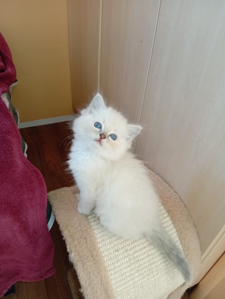 77dfe1b9-392d-4242-b789-56ace2b32e88