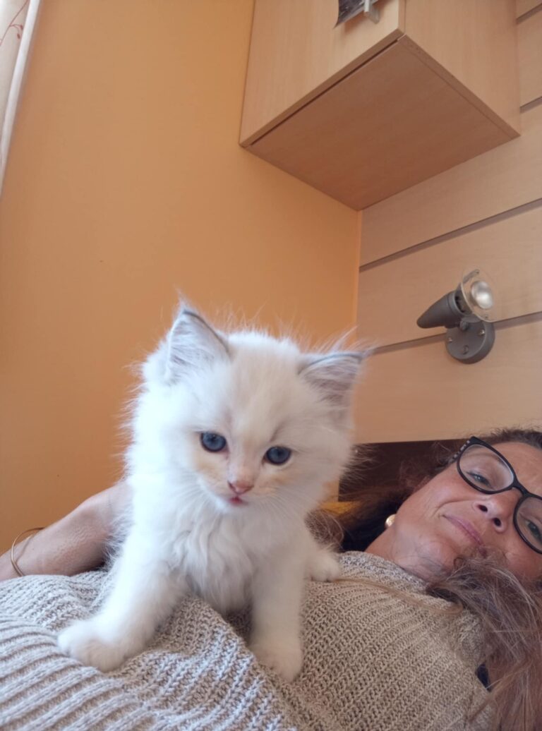 79211931-47b0-4404-b49e-f8d2203067af