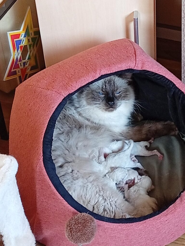 807a2601-3e73-46b5-b591-85e43bd8d839