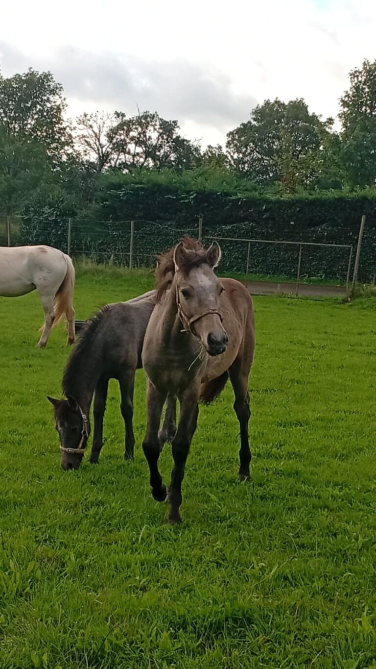 8c0faa00-2139-4fbc-8dd3-1c533e0b75c7