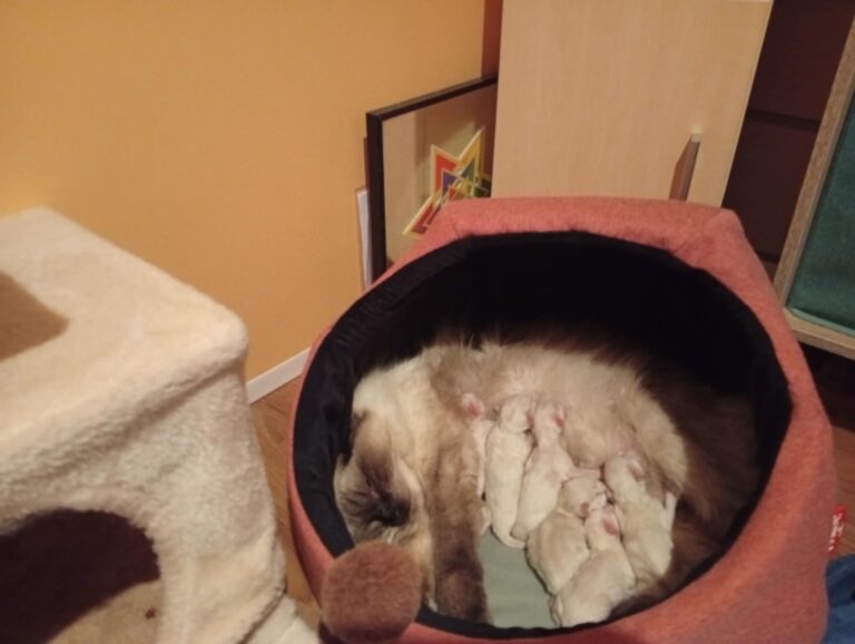 9a7b7f98-e1f9-4ccd-97d6-73c6056fd688