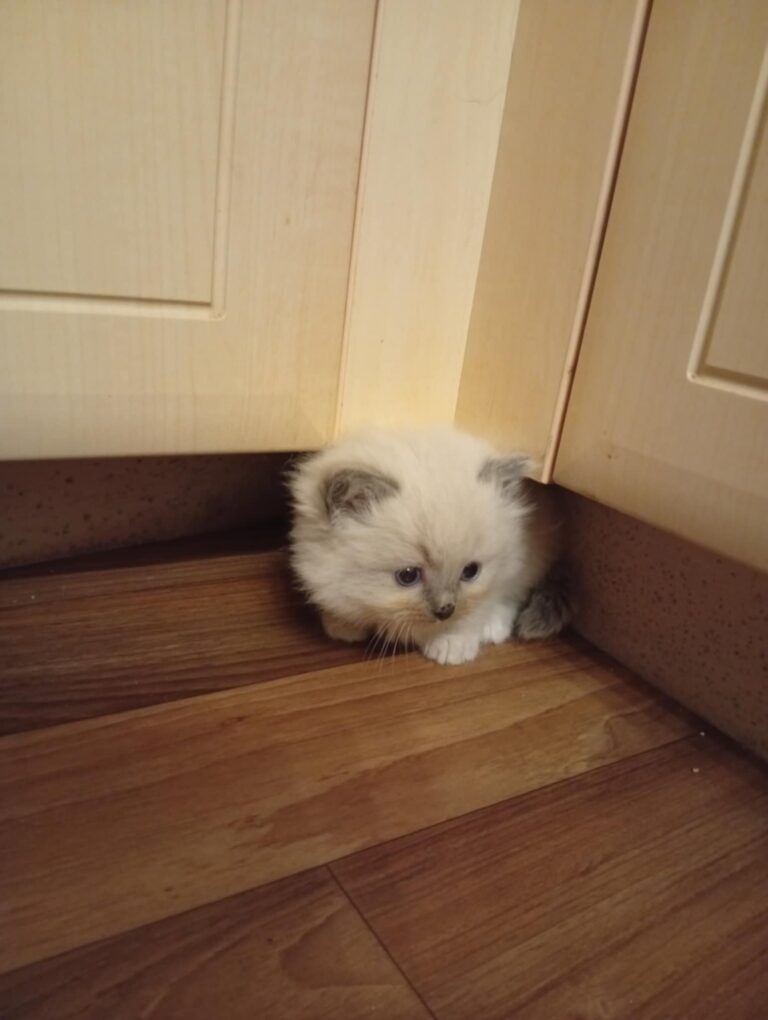 ad3355c2-8d00-4df4-9a8e-b31989943b6f