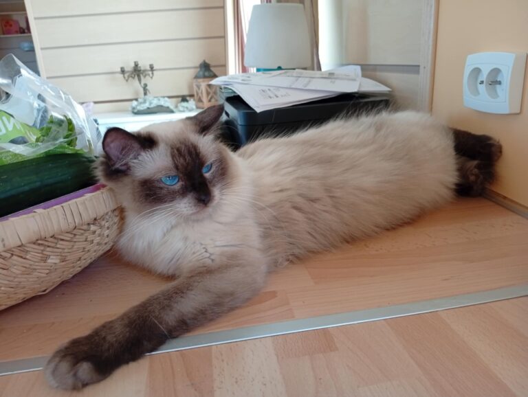 b61a0a25-b454-4004-9755-5427661dca84