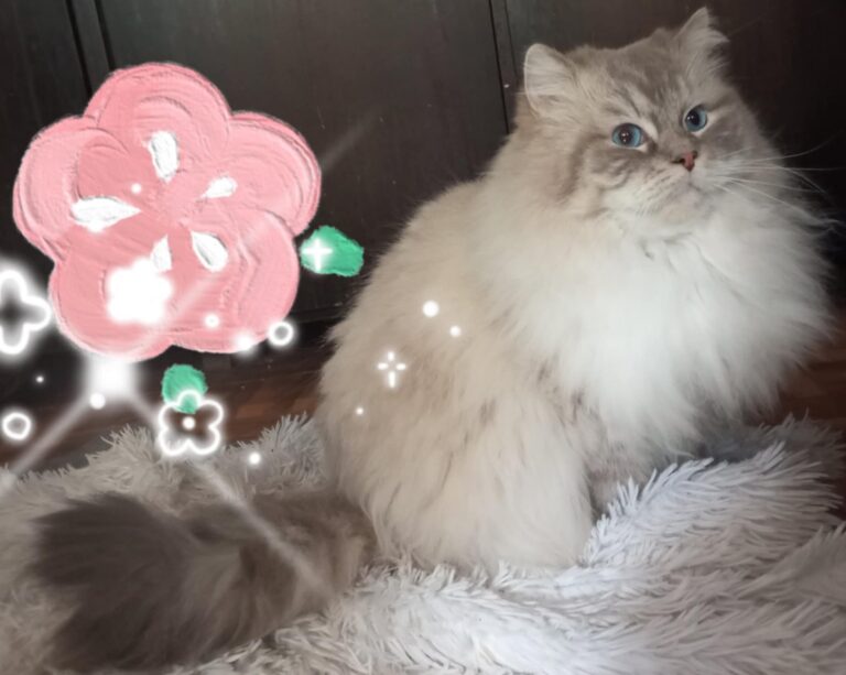 b8373cf5-b41c-4f1d-991f-d1255598b2b6