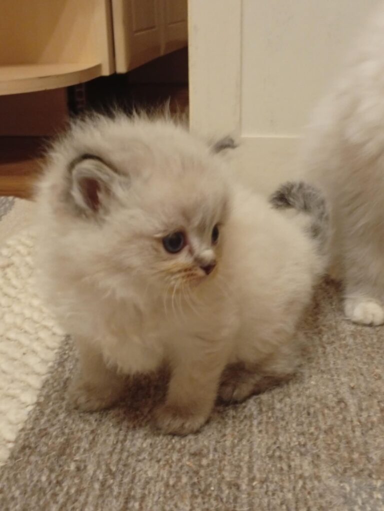 c7f4a606-e14a-4837-9808-af726c4aa13e