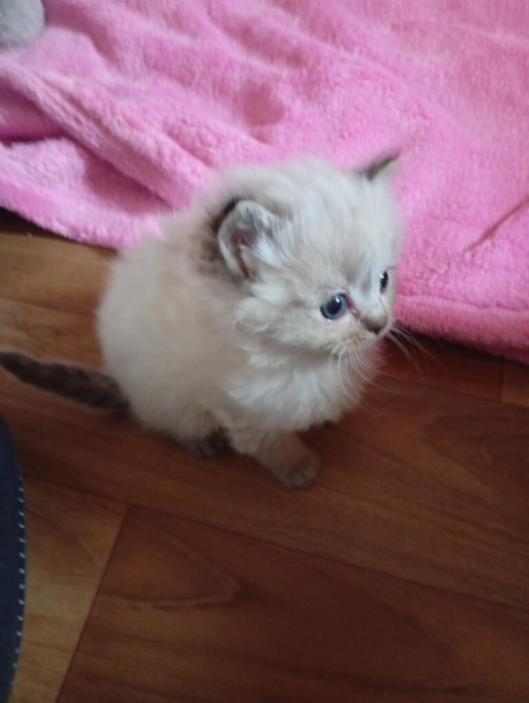 cc2acf3d-2ac6-4c37-b4de-e16215293ef8