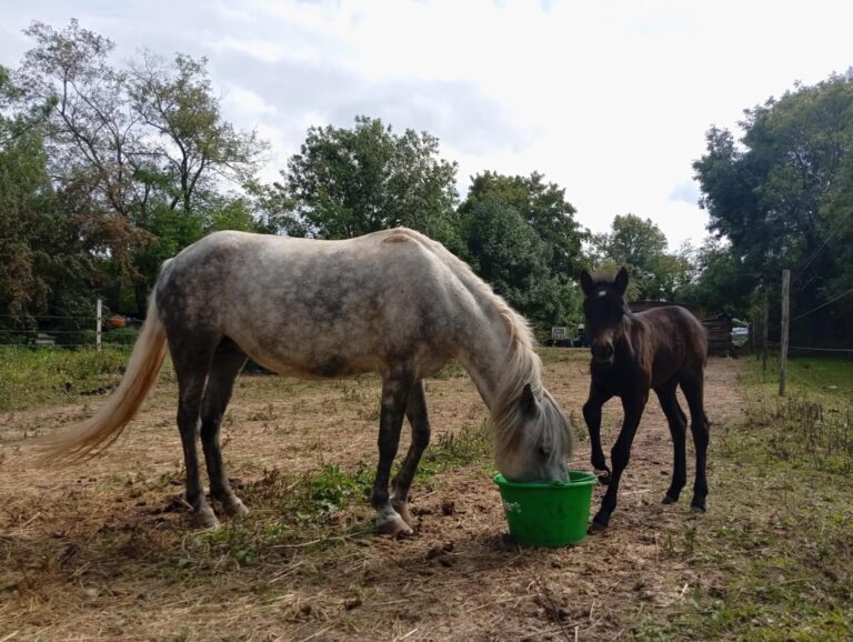 ceb17367-6e6b-48ae-8c51-4bcdb1b4afdb