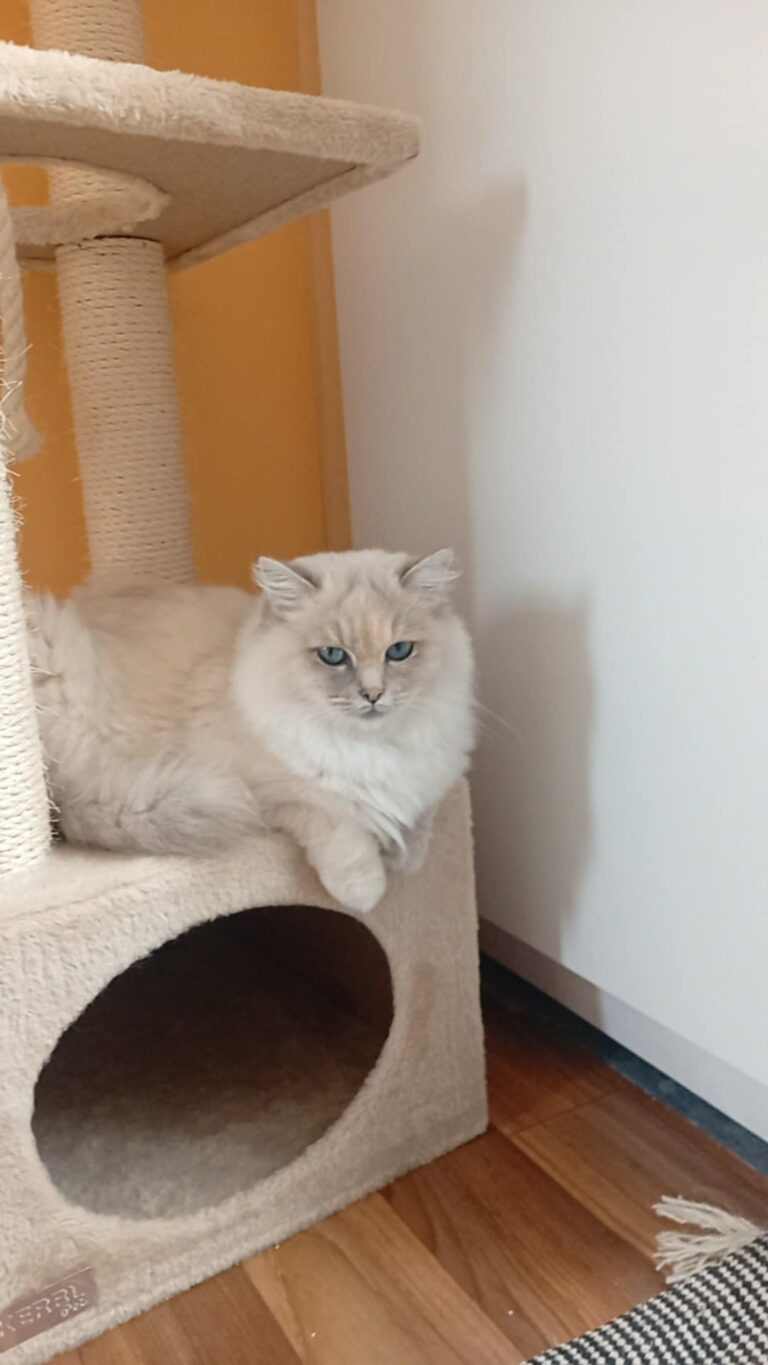 db13875b-0e41-4772-bbe8-308a6dd2dee1 - Copie