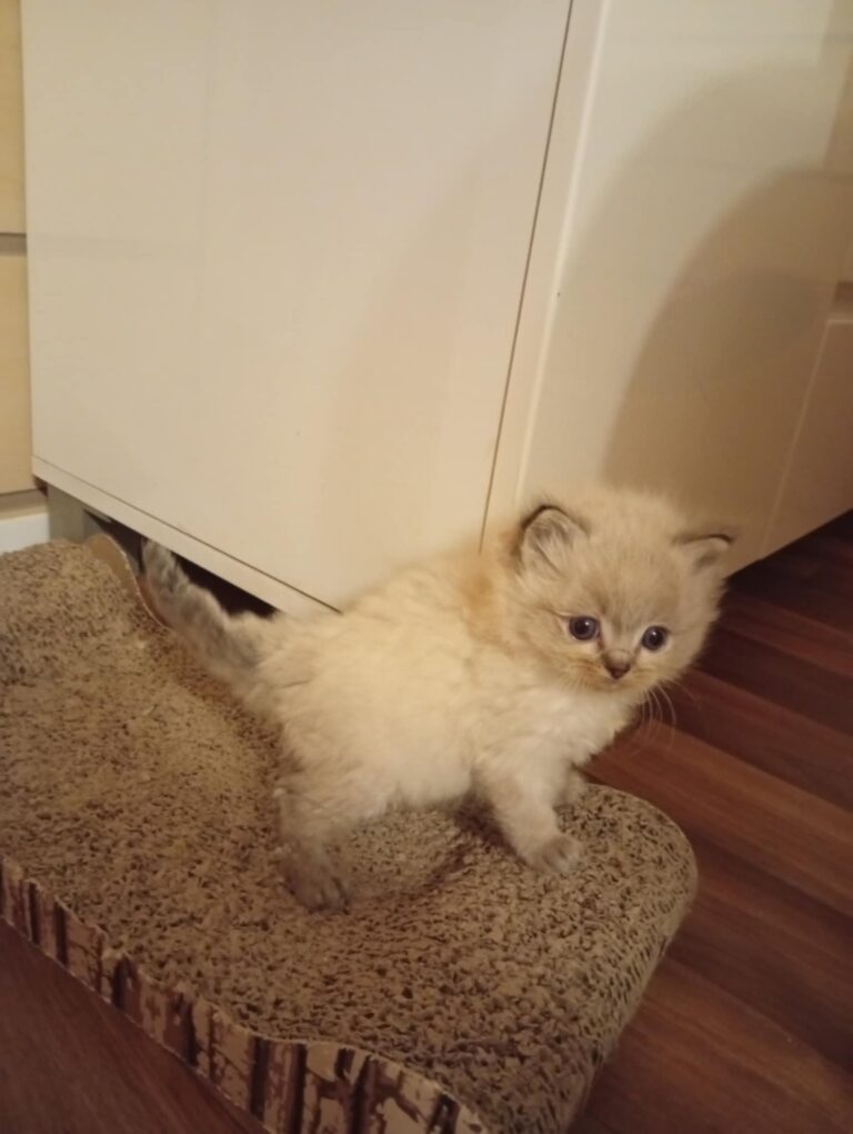 e5539821-7049-40be-95e9-5bd3c00345d8