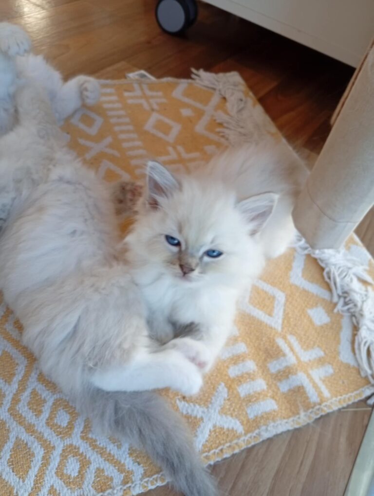 e7a5773e-e8b6-449c-b7b8-51a5036bc07d