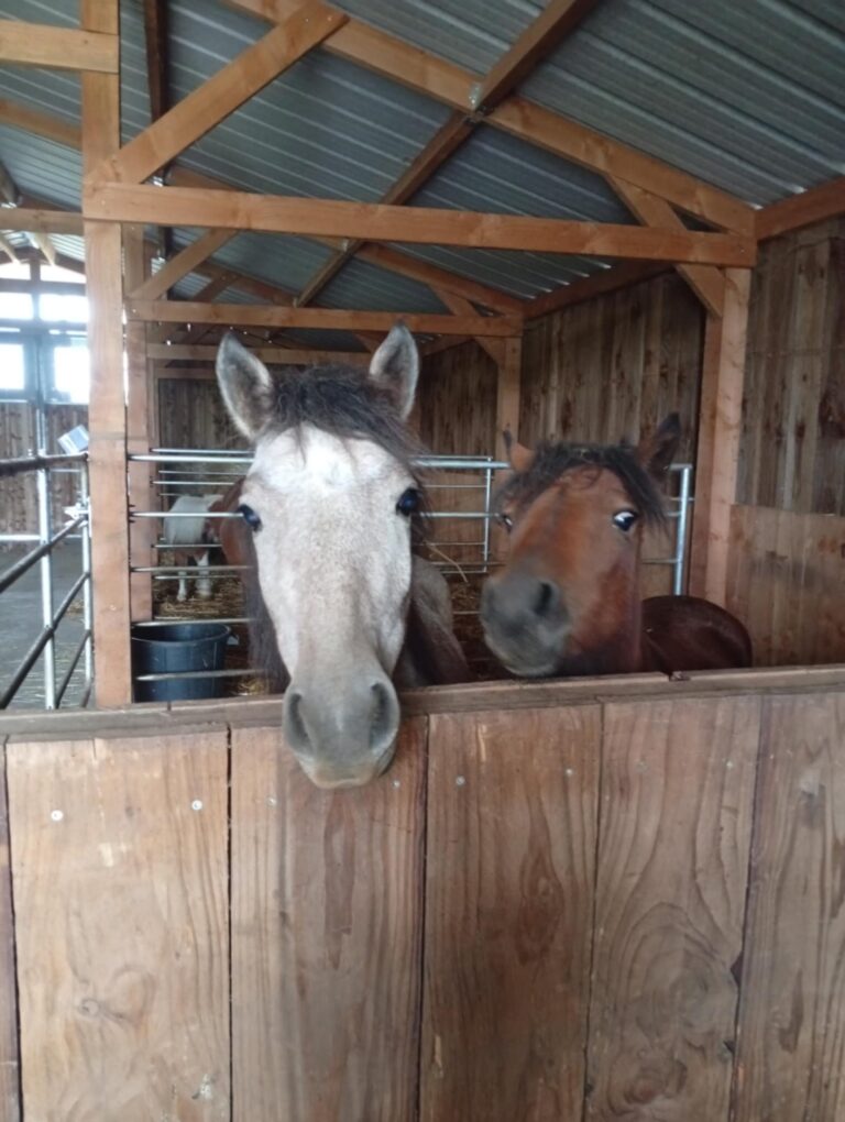 f4213ed4-d159-4d8e-b037-c8431eb47a6c