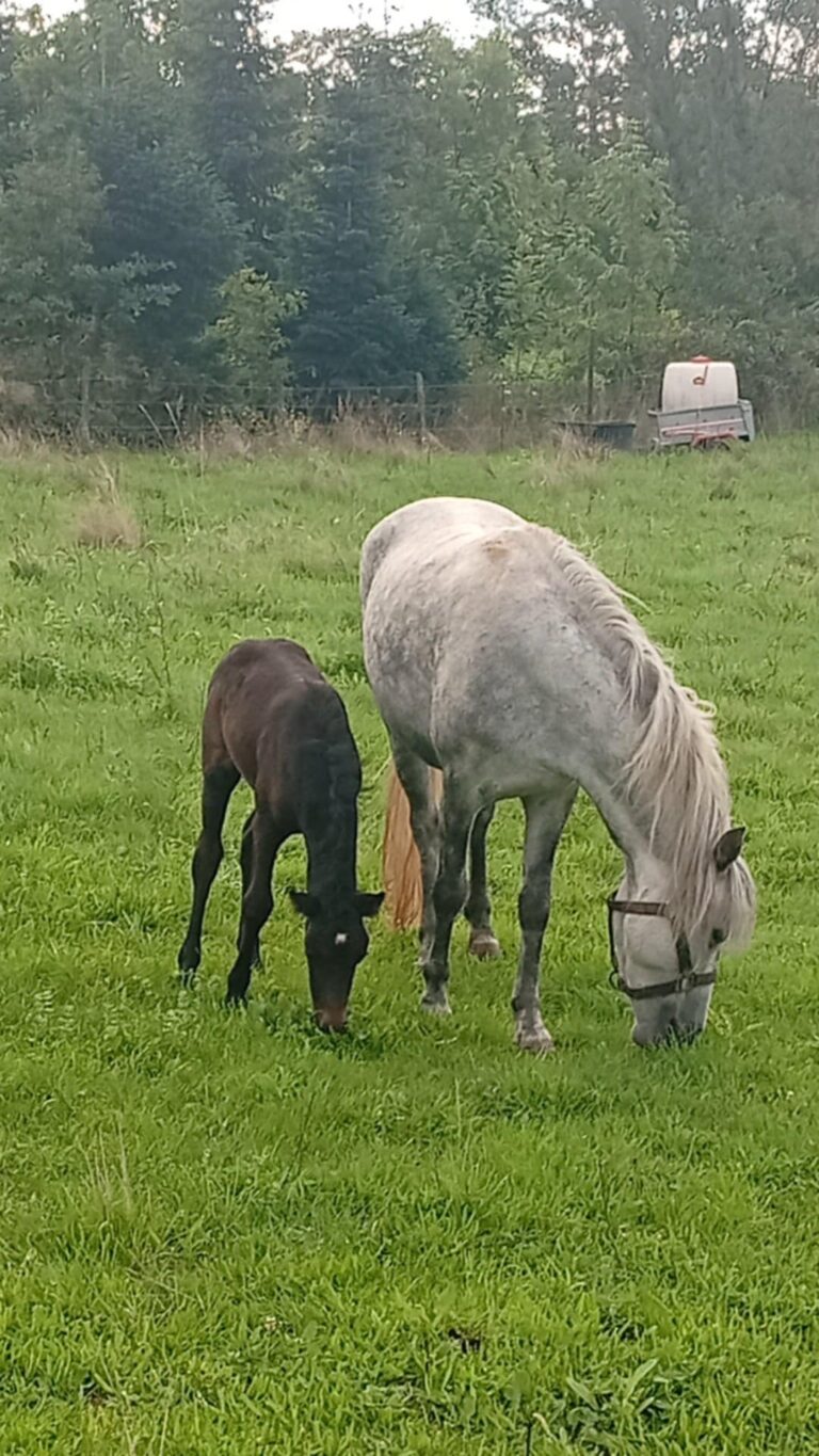 f52400d0-4db0-49fc-b004-152f68e16002