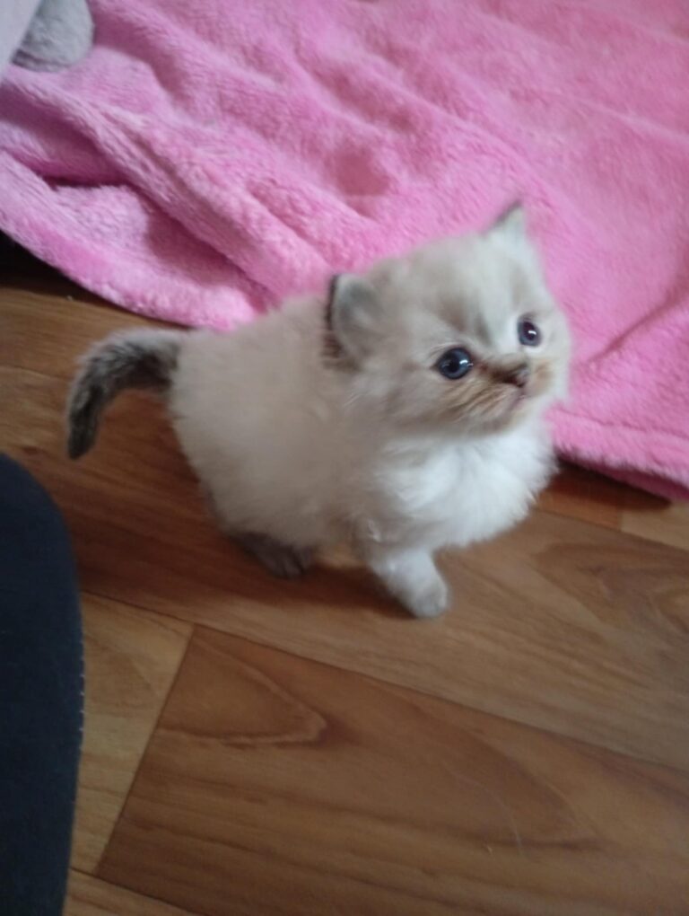 fb1f3612-7904-4b5d-98f9-79116b42f6ad