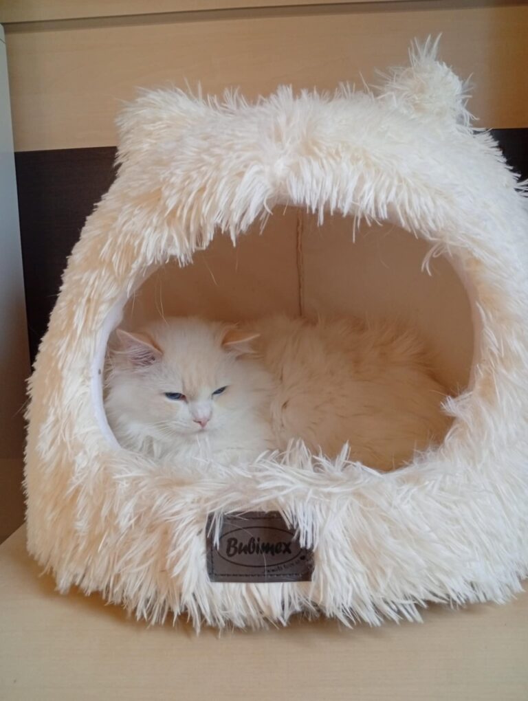 0b7fe279-1eae-4c3d-afc3-3163735448a4