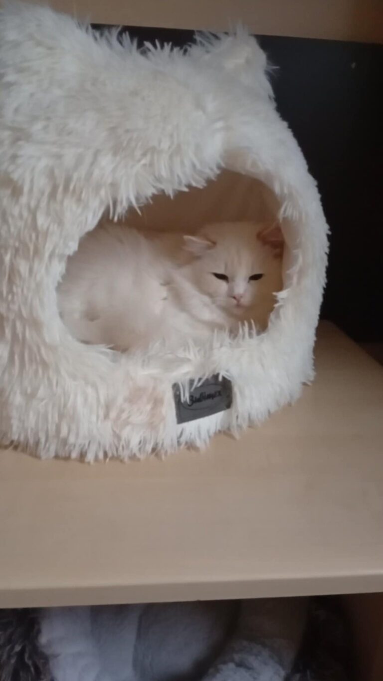 9a4844e7-7ac6-4f22-ba8b-17a9c02528d1