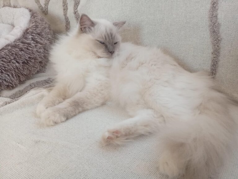 a73b9c9c-5897-4d27-9192-2f6df691f974