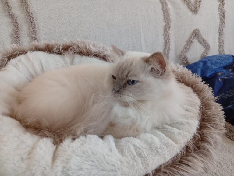 be7a42af-fd7e-4210-89d0-78a5537b3c9a