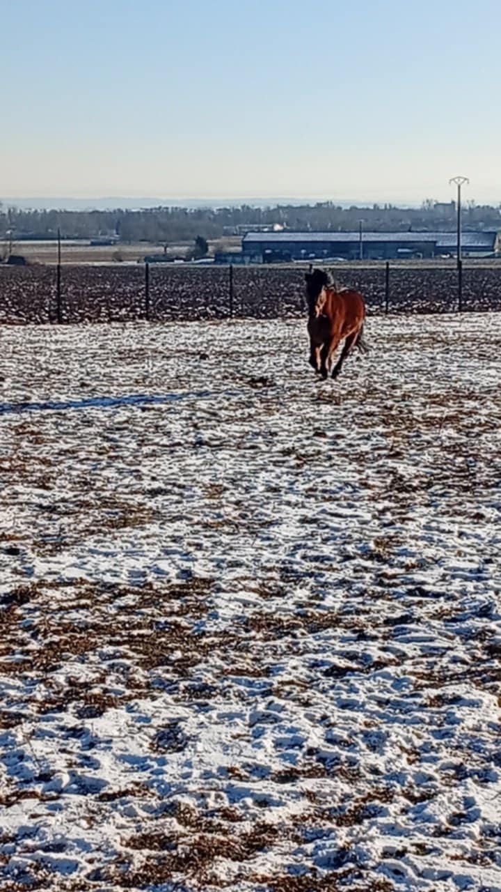 4c4c0ec5-f1cf-4a99-969b-968f65c47578